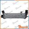 Intercooler pour HYUNDAI | CCL-HY-011, 961493